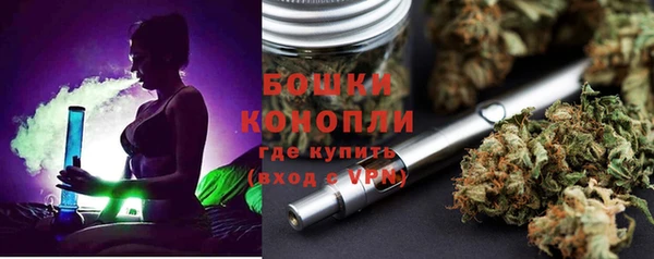 гидра Белоозёрский