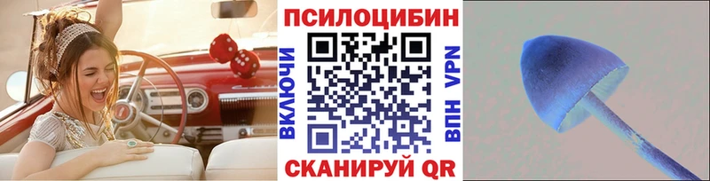 Галлюциногенные грибы мицелий  Купить где  Колпашево 